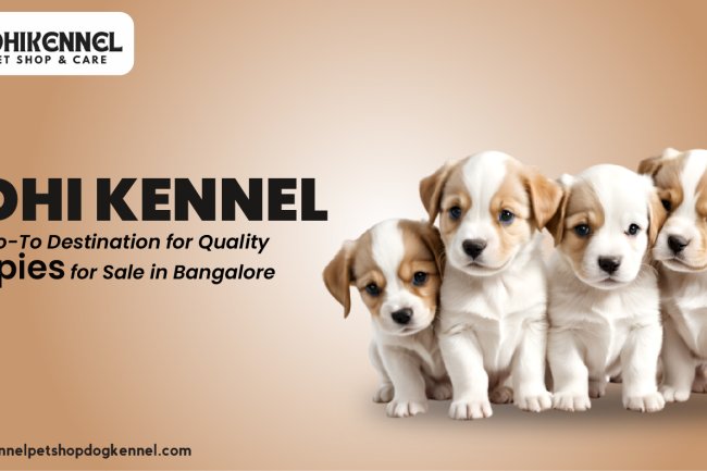 Adhi Kennel: Your Go-To Destination for Quality Puppies for Sale in Bangalore