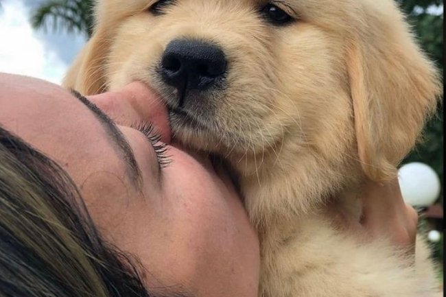 Premium Puppies for Sale in Bangalore with a Commitment to Quality