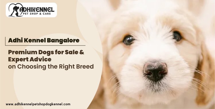 Adhi Kennel Bangalore: Premium Dogs for Sale & Expert Advice on Choosing the Right Breed