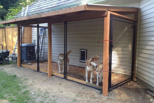 Adhi Kennel: Top-Rated Dog Kennels in Bangalore - Where Your Pup Feels at Home!