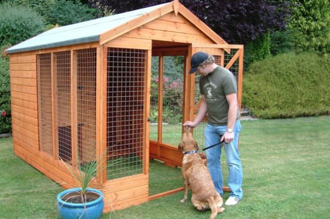 Adhi Kennel: Top Dog Kennels in Bangalore - Premium Care for Your Pup While You're Away