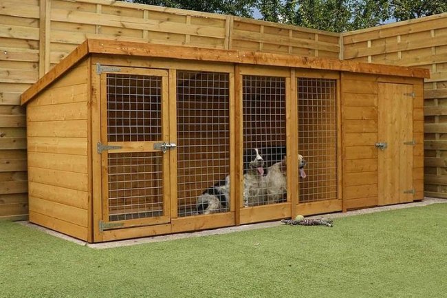 Adhi Kennel: "Where Your Best Friend Finds a Perfect Home" – Best Dog Kennels and Top Dogs for Sale in Bangalore