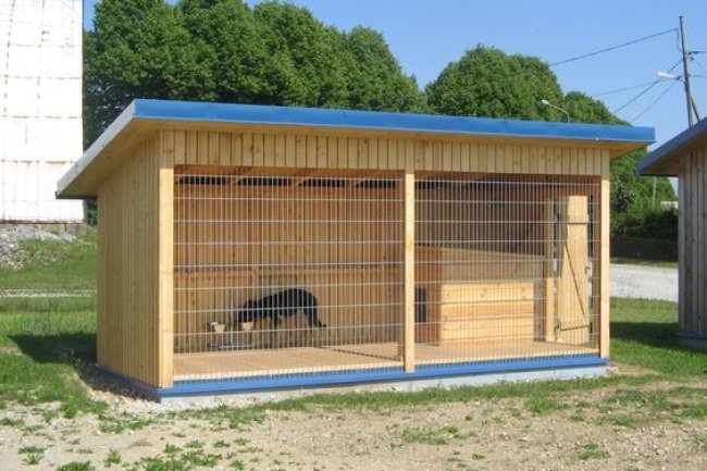 Adhi Kennel Pet Shop: Your Gateway to the Best Dogs for Sale and Top Dog Kennels in Bangalore – Where Quality Meets Care!