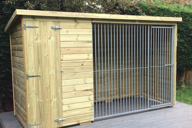 Best Dog for Sale in Bangalore & Top Dog Kennel in Bangalore: Adhi kennel pet shop