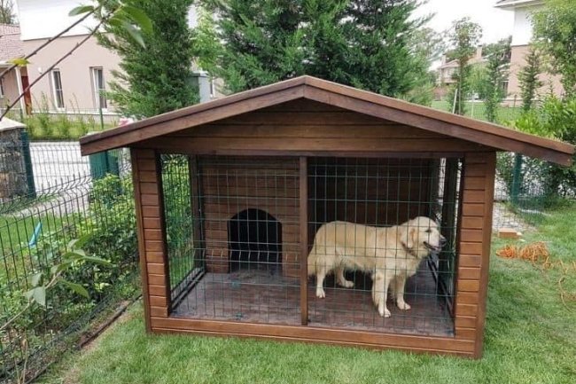 Adhi Kennel: Your Top Choice for Premium Dogs & Best Dog Kennel Services in Bangalore – Where Quality Meets Care