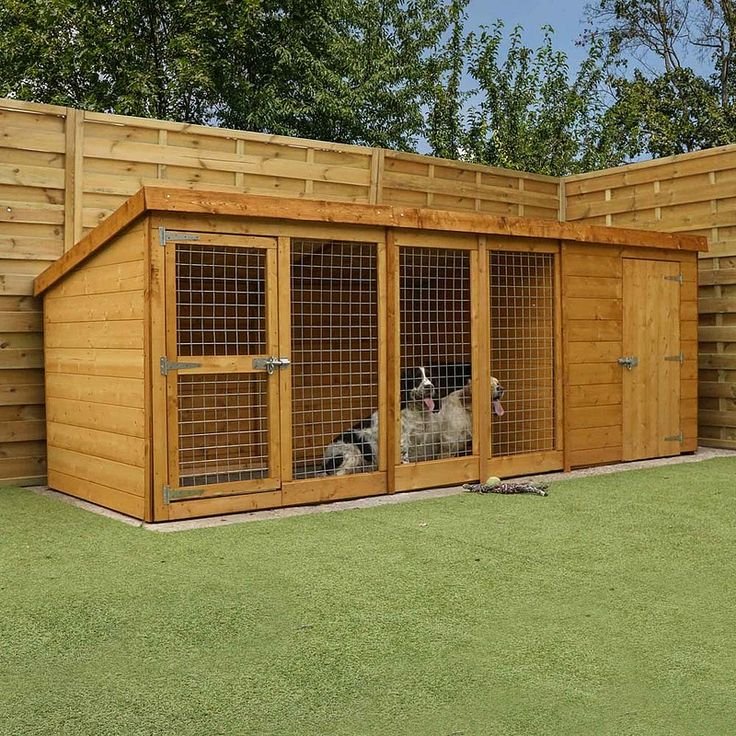 Adhi Kennel Pet Shop: Top Dogs for Sale & Trusted Dog Kennel in Bangalore – Your Perfect Pup Awaits!