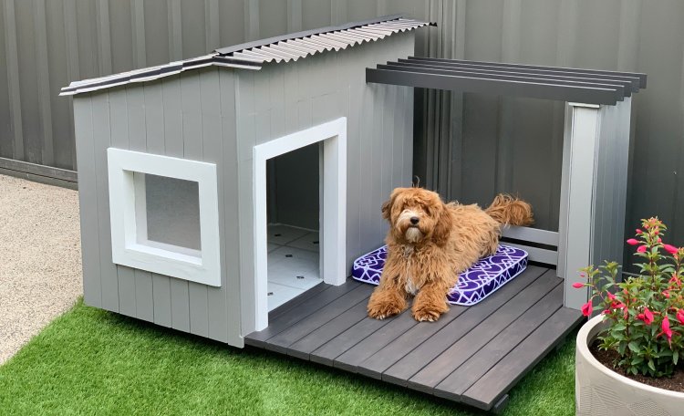 Adhi Kennel: Bringing Joy with the Best Dogs for Sale in Bangalore and Top Dog Kennel Setup Services – Where Quality Breeding Meets Loving Homes!