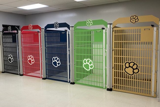 Bangalore’s Best Dog Kennel & Pet Shop for Happy Tails – Adhi Kennel Pet Shop