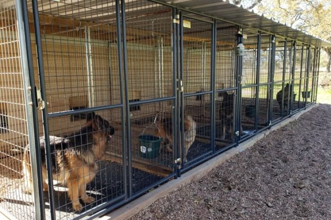 Best Dog Kennels in Bangalore: Adhi Kennel Pet Shop - Safe, Caring, and Comfortable Stays for Your Furry Friend