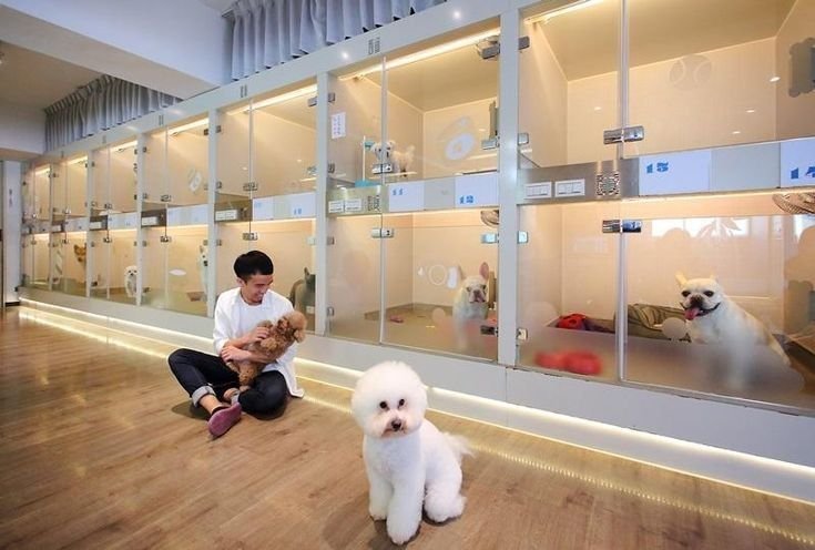 Furry Friends & Happy Tails: Adhi Kennel - Bangalore’s Best Dog Kennel & Pet Shop