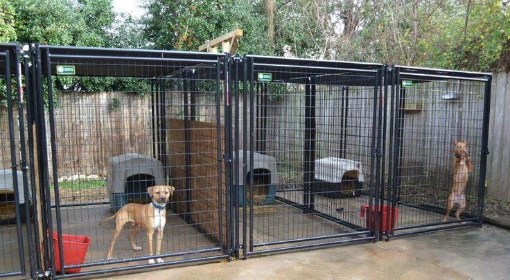 Adhi Kennel Pet Shop: Top Dog Kennels and Pet Shops in Bangalore - Where Your Pets Feel at Home!