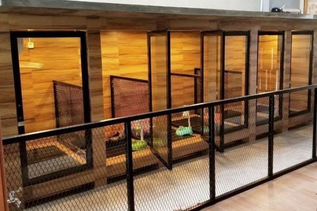 Best Dog Kennel in Bangalore | Safe & Caring Stay for Your Pet