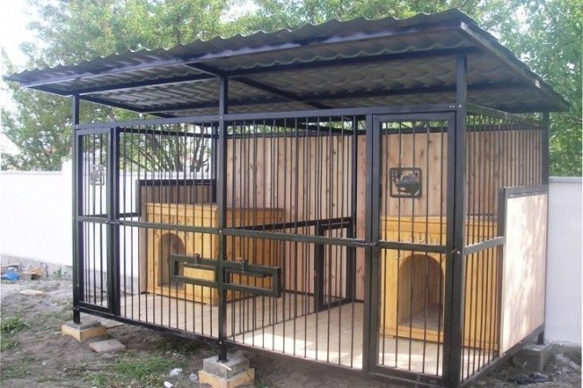 Bangalore’s Premier Dog Kennels: Luxury Boarding for Happy Paws | Adhikennel Pet Shop