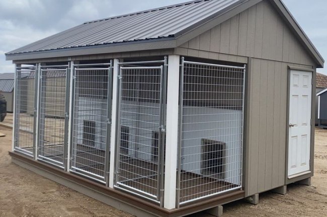 Tail-Wagging Comfort: Discover Bangalore's Best Dog Kennel Experience Today | Adhikennel Pet Shop