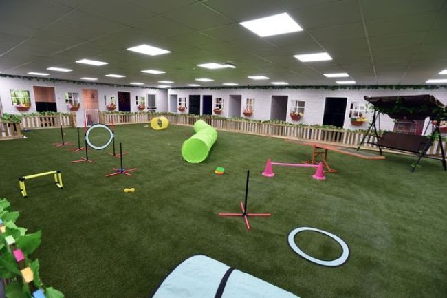 Top Dog Boarding & Kennel Facility in Bangalore – Adhikennel Pet Shop