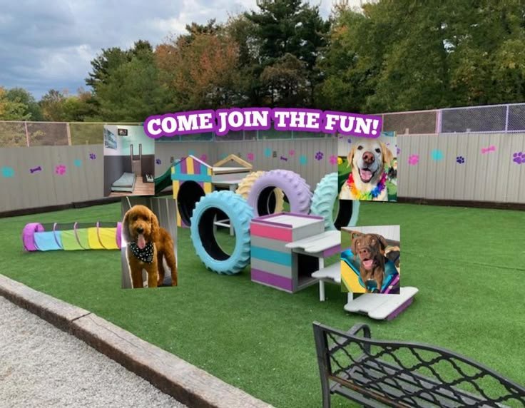 Best Dog Boarding in Bangalore | Adhikennel Pet Shop