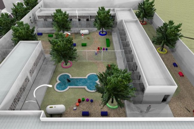 Your Dog’s Vacation Spot – Life at Our Kennel