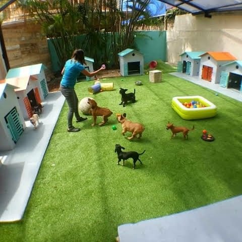 Top 10 Must-Have Things in a Modern Dog Kennel