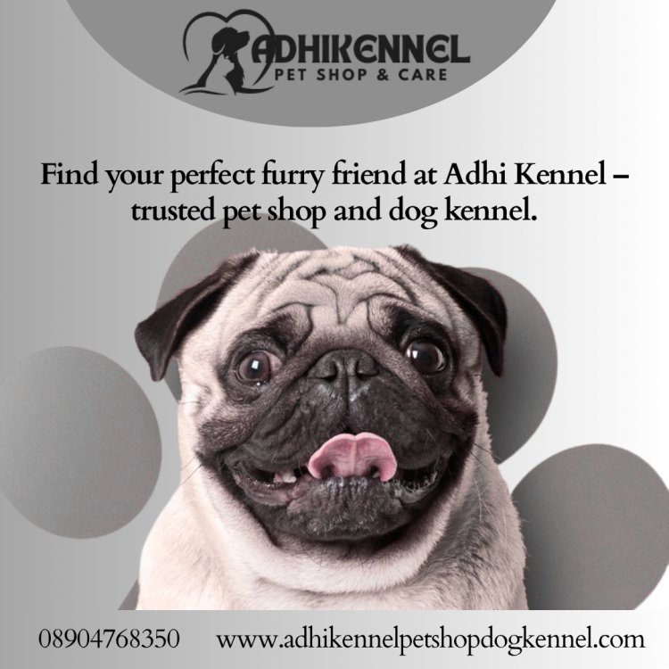 Find Your Perfect Furry Friend at Adhikennel Pet Shop in Koramangala, Bangalore