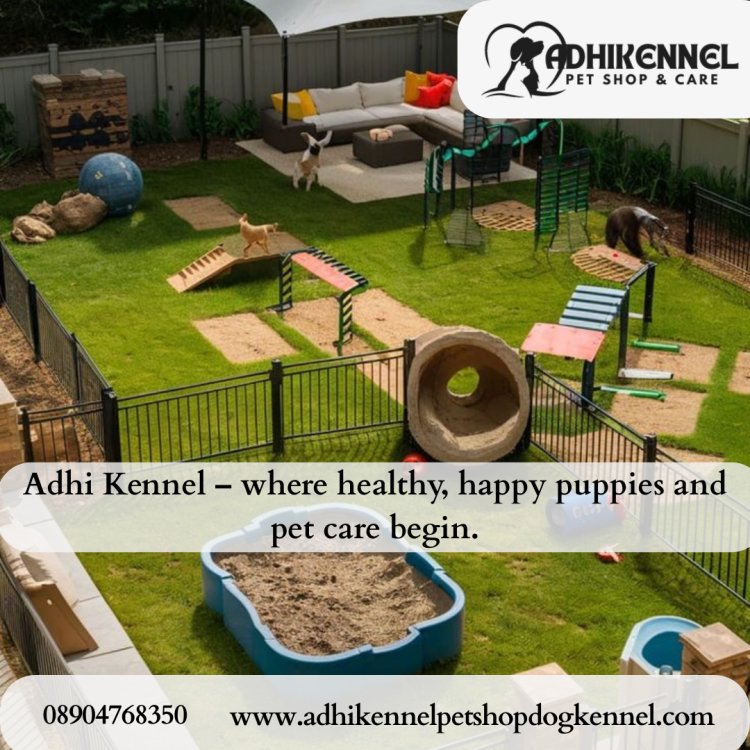 Best Dog Kennel in Koramangala, Bangalore – Safe, Spacious & Affordable