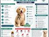 Puppy Vaccination Schedule: A Complete Guide for New Pet Parents